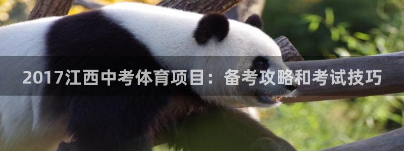 星欧娱乐的创始人背景故事介绍