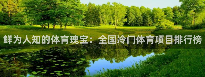 星欧娱乐属于什么档次的公司啊