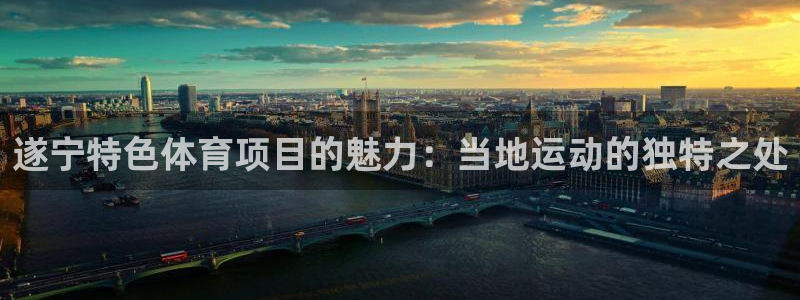 星娱乐是谁的公司