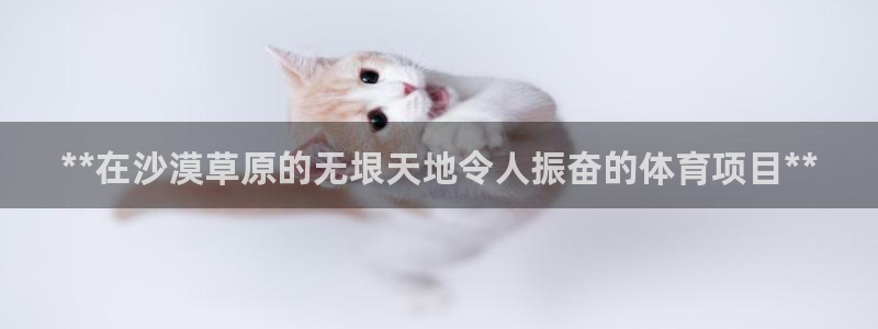 星欧娱乐最建议买的三个产品是什么呢