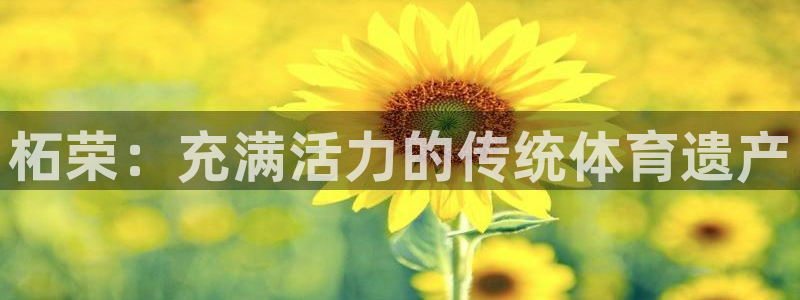 星欧娱乐扣款流程详解视频播放