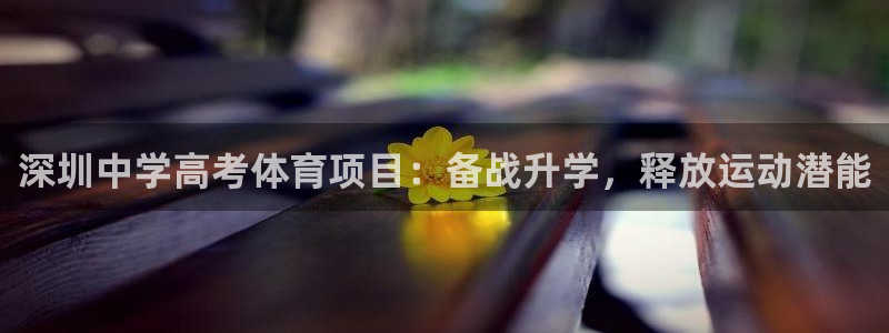 星欧娱乐扣款时间查询方法怎么查的