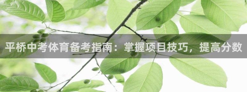 星欧娱乐工711.112怎么没有了
