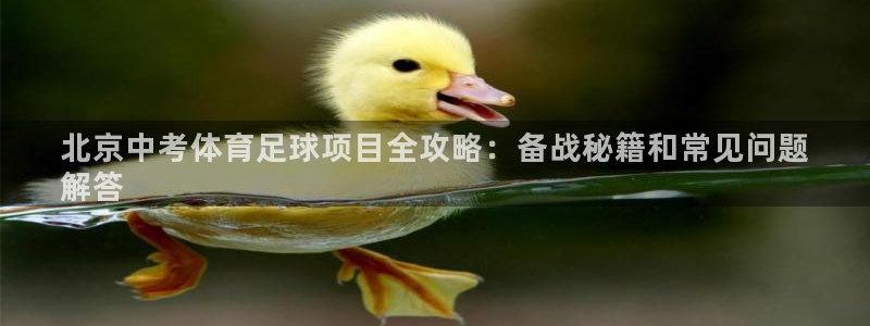 星欧娱乐平台都7O777