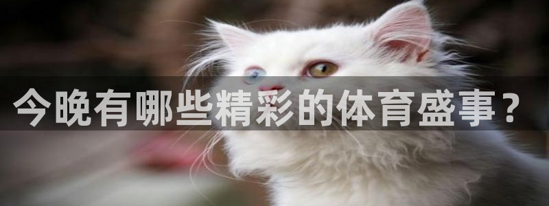 星欧娱乐游戏官网