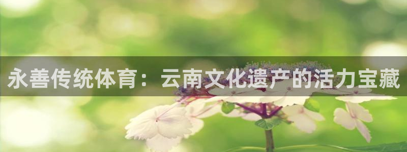 星欧娱乐平台怎么样啊安全吗