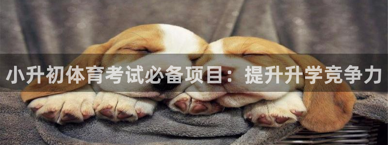 星欧娱乐测速