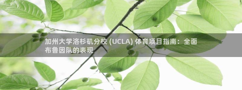星欧娱乐挂机教程下载