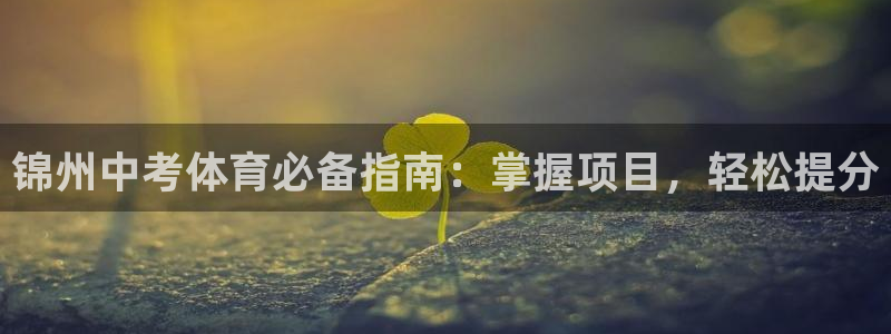 星欧娱乐扣款时间查询方法是什么呢