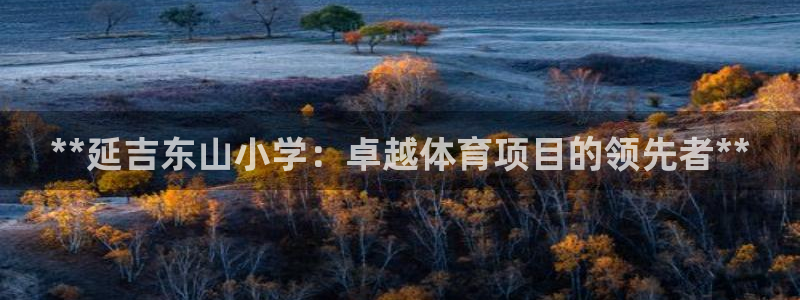 星欧娱乐平台怎么样啊可靠吗