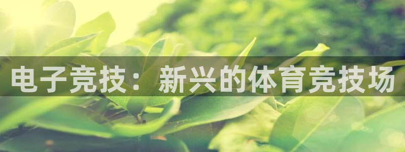 星奥娱乐怎么样知乎
