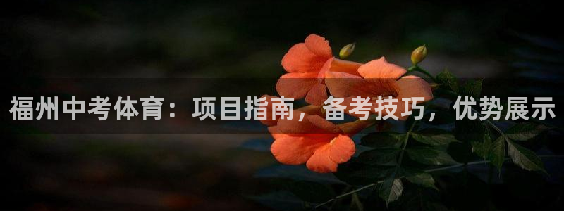 星欧娱乐属于什么档次的软件公司