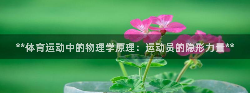 星奥娱乐怎么样知乎