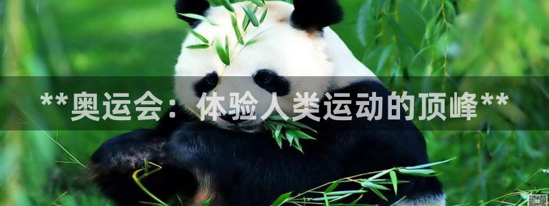 星欧娱乐平台测速线路怎么设置