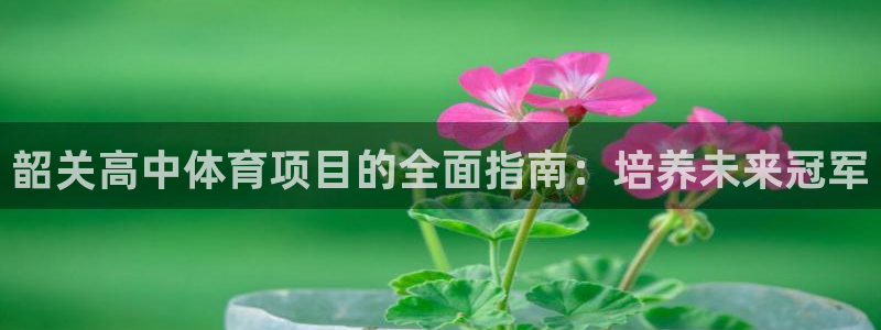 星欧娱乐公司地址