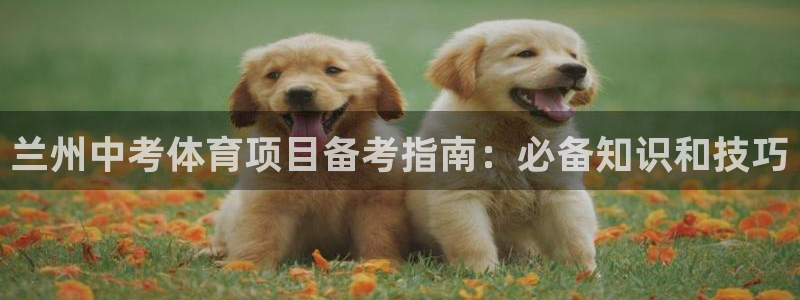 星乐娱乐官网