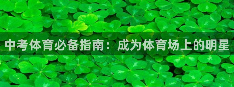 星欧娱乐官方客服联系方式查询