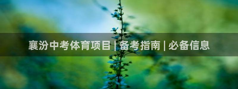 星欧娱乐测速怎么样
