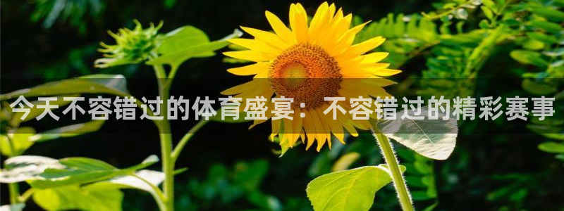 星娱乐online创作的原声胡歌吴磊
