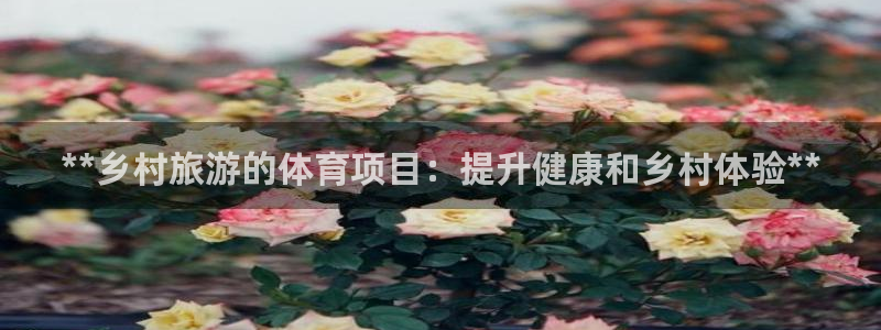 星游娱乐下载地址
