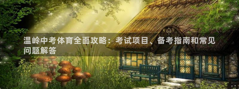 星欧娱乐的官方版本更新内容有哪些