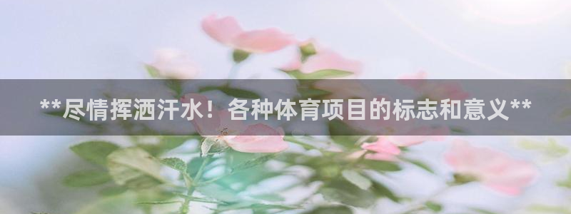星欧娱乐属于什么档次的公司