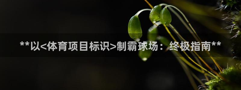 星欧娱乐联4.8.5.6.2.4.3下载