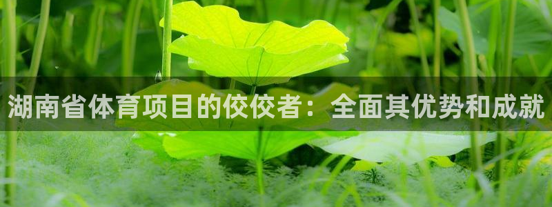 星奥娱乐怎么样知乎