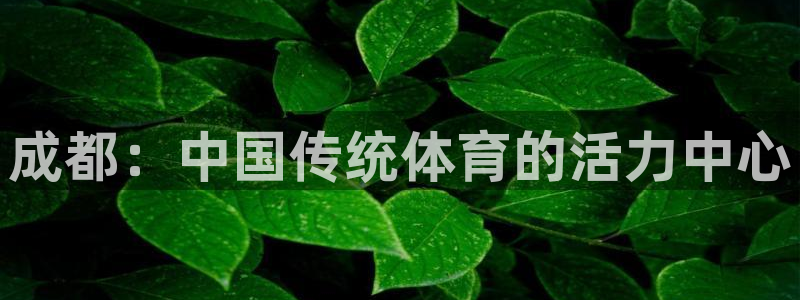 星欧娱乐公司电话号码多少