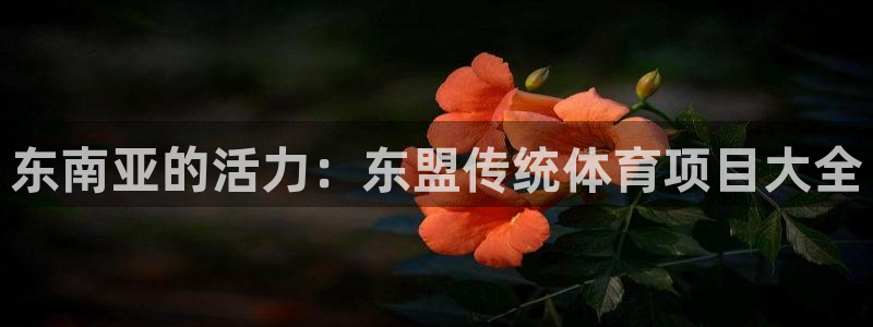 星欧娱乐最建议买的三个产品有哪些呢