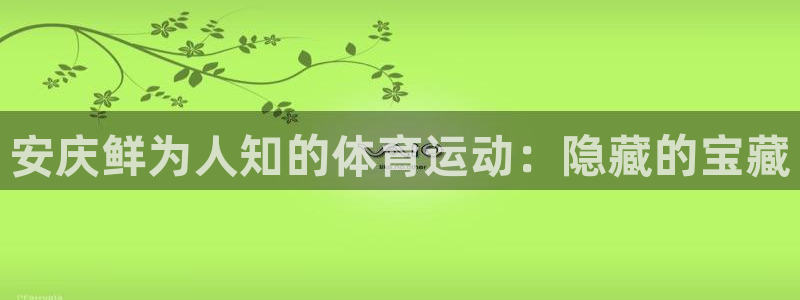 星欧娱乐的官方版本更新内容有哪些