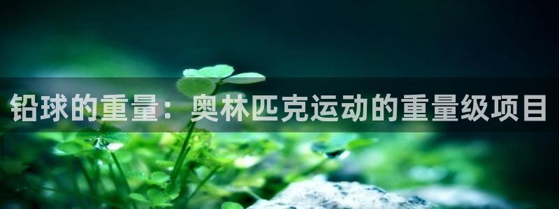 星澳娱乐公司简介