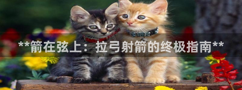 星欧娱乐联和哪个品牌合作