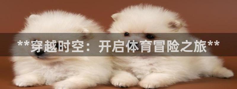星欧娱乐挂机教程视频