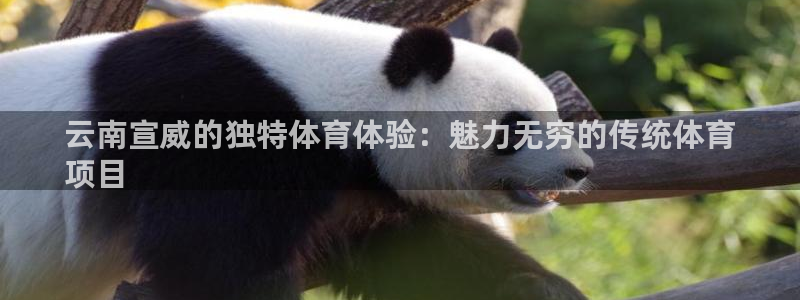 星欧娱乐会员优惠活动