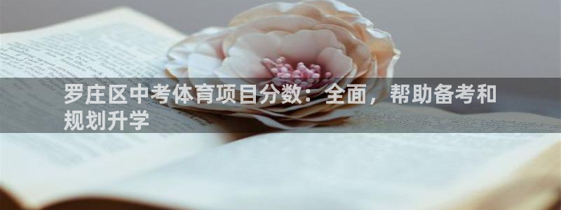 星欧娱乐公司地址