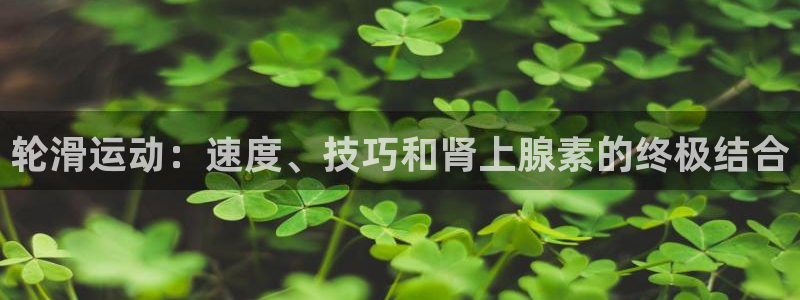 星欧娱乐扣费处理方法