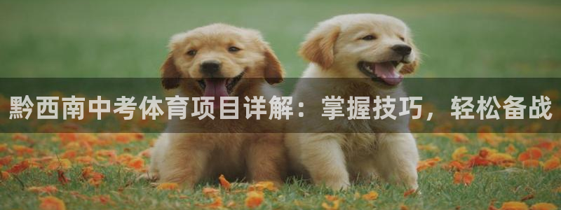 星欧娱乐是正规品牌吗