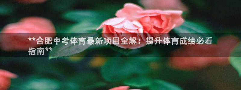 星欧娱乐平台过7O777
