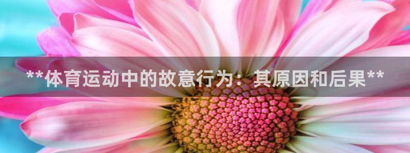 星欧娱乐测速怎么样