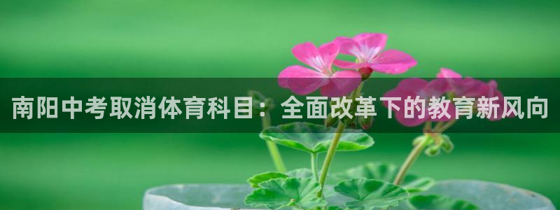 星欧娱乐属于什么档次