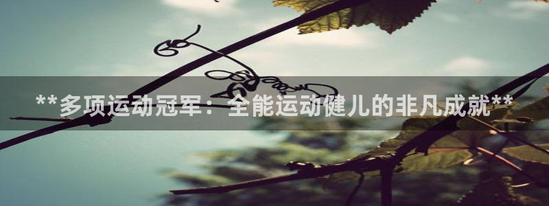 星欧娱乐平台测速线路