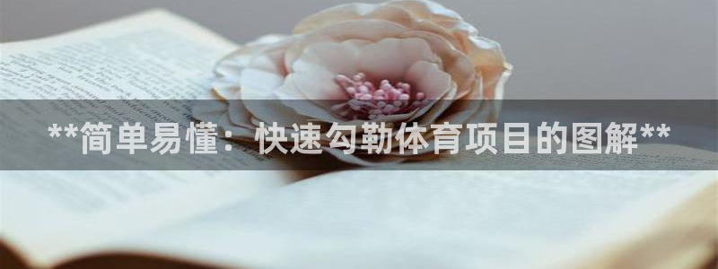 星欧娱乐扣款流程详解图片