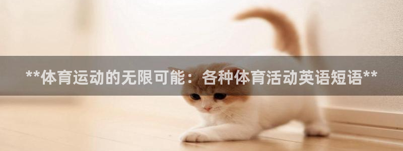 星娱乐文化传媒