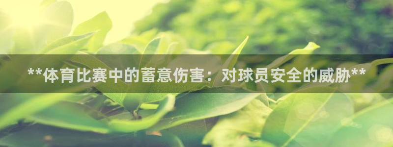 星欧娱乐的官方版本更新内容是什么
