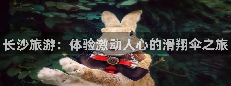 星欧娱乐游戏官网