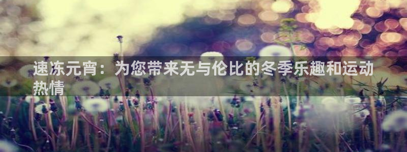 星欧娱乐属于什么档次的软件公司