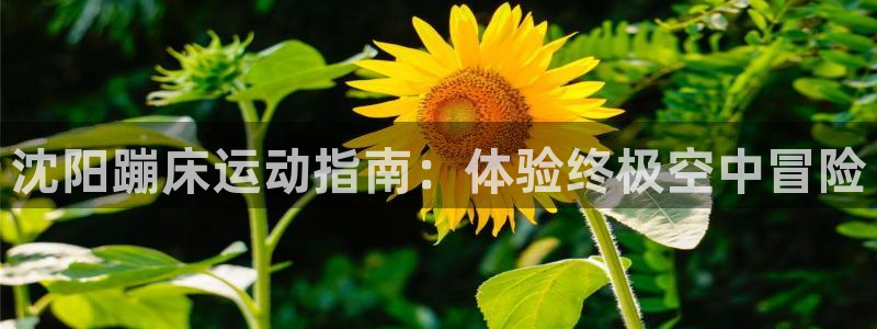 星欧娱乐官网首页