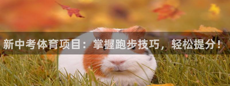 星欧娱乐