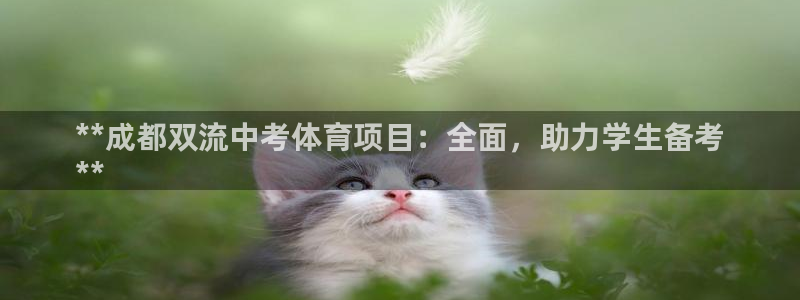 星欧娱乐公司创始人背景故事介绍